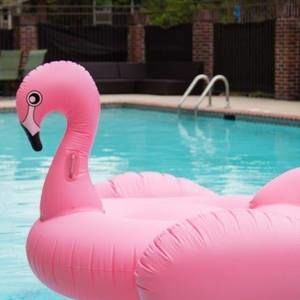 Meet your Posher, Jeanne